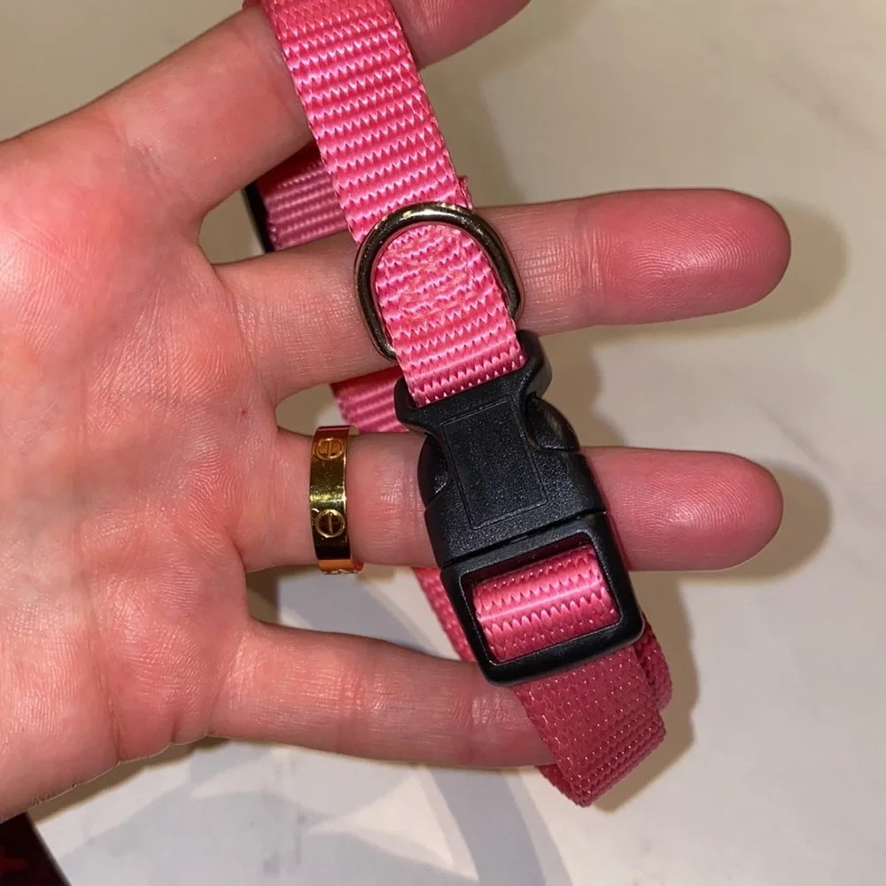 Pink pet collar, adjustable sizing, bright pink, black closure, .5” wide dog cat